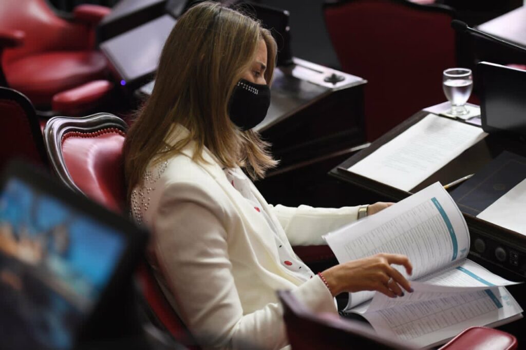 Legislatura bonaerense: la senadora Flavia Delmonte. 