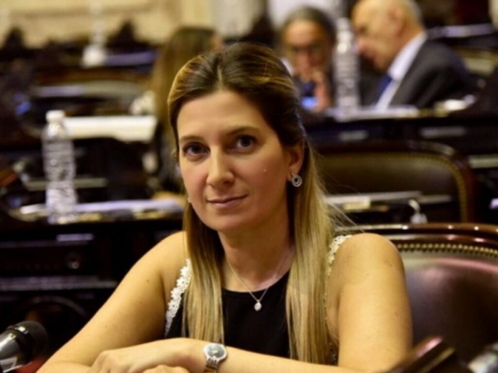 La diputada nacional, Silvia Lospennato, remarcó que "el proyecto en cuestión fue impulsado en el Senado por el oficialista Carlos Caserio".