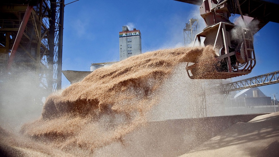 El complejo oleaginoso-cerealero aportó el año pasado el 48 % del total de las exportaciones de la Argentina.