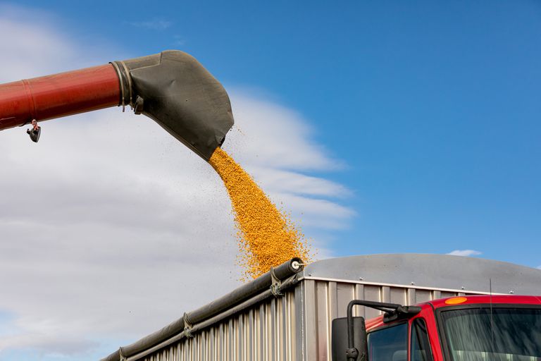 Contrabando de granos. En el último trimestre de 2021 la AFIP detectó maniobras abusivas con 31.000 toneladas de granos.