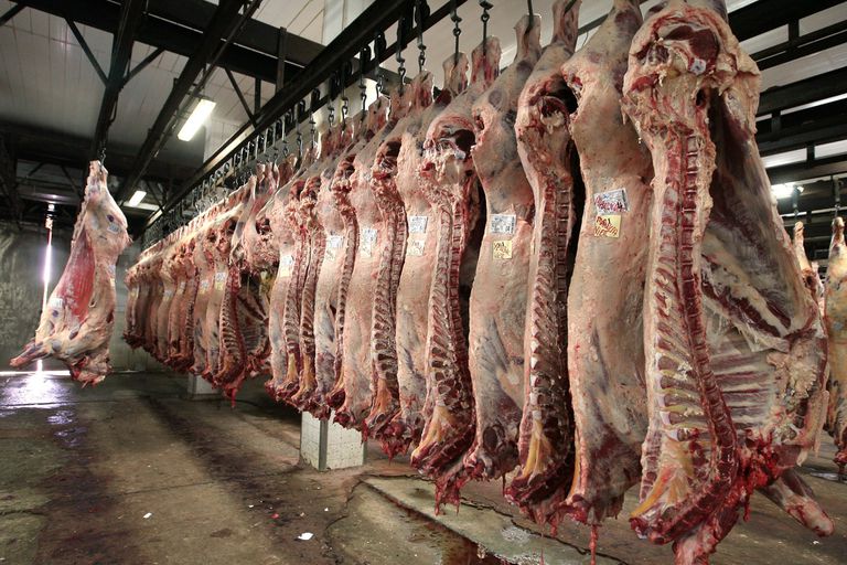 Los frigoríficos que no cumplan con el programa Cortes Cuidados podrían ser sancionados con no poder exportar carne