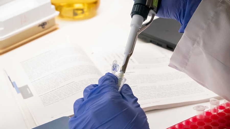 Actualmente el Gobierno nacional financia cuatro líneas de investigación para desarrollar una vacuna Covid nacional.