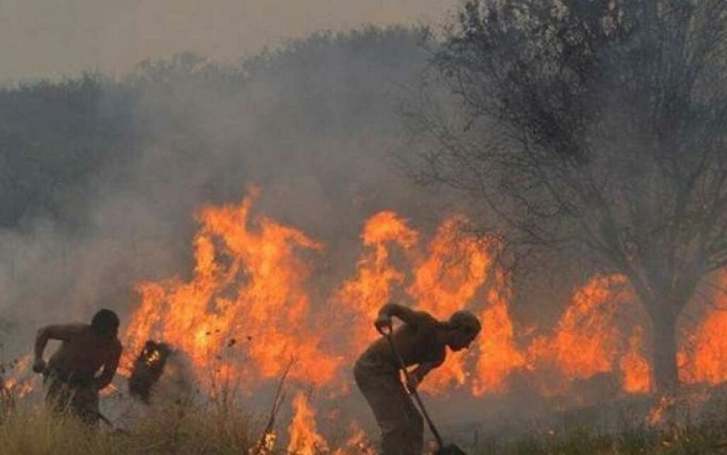 Los incendios en Corrientes y la sequía extrema ya causaron pérdidas por más de 26.000 millones de pesos.