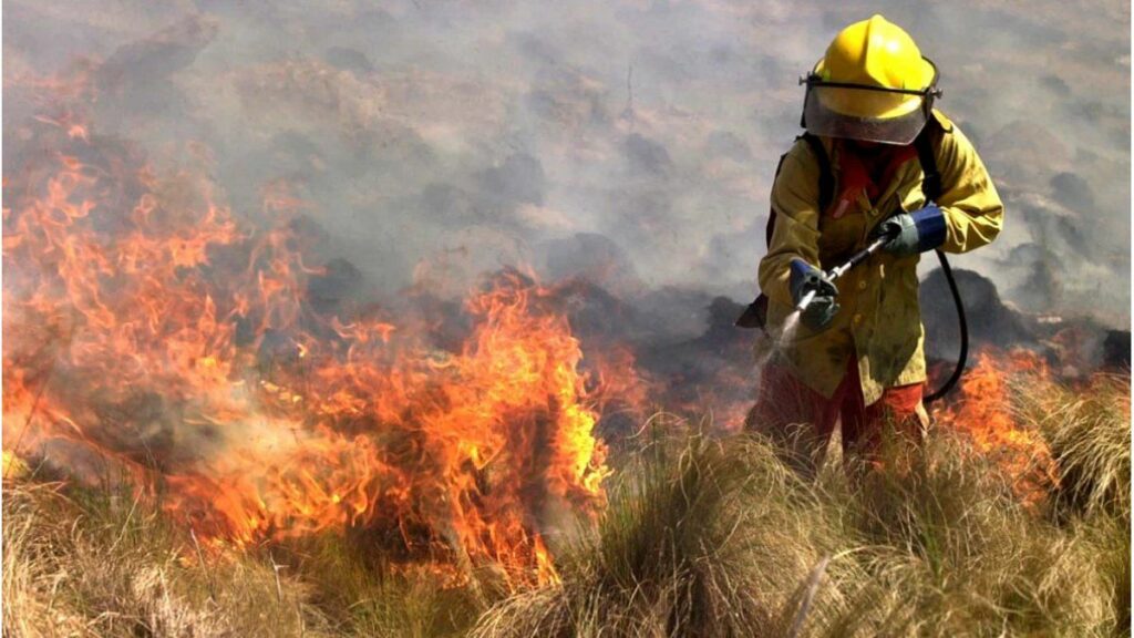 Los incendios en Corrientes ya arrasaron con más de 900.000 hectáreas, lo que equivale al 10% del territorio provincial.