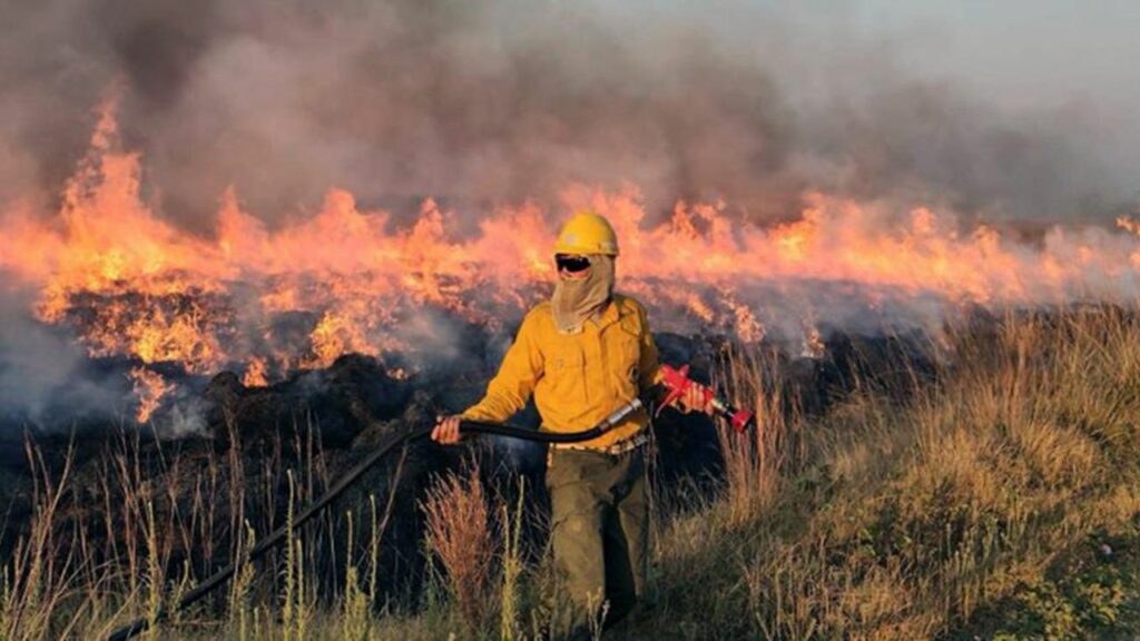 La superficie quemada en Corrientes alcanzó el domingo las 785.238 hectáreas, casi un 10% del territorio provincial.