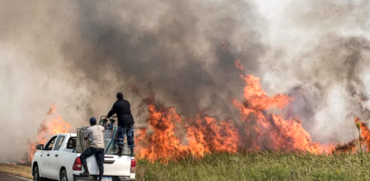 El organismo que conduce Mercedes Marcó del Pont informó que los contribuyentes afectados por el incendio en Corrientes podrán acceder a la suspensión de ejecuciones fiscales y a la traba de embargos.