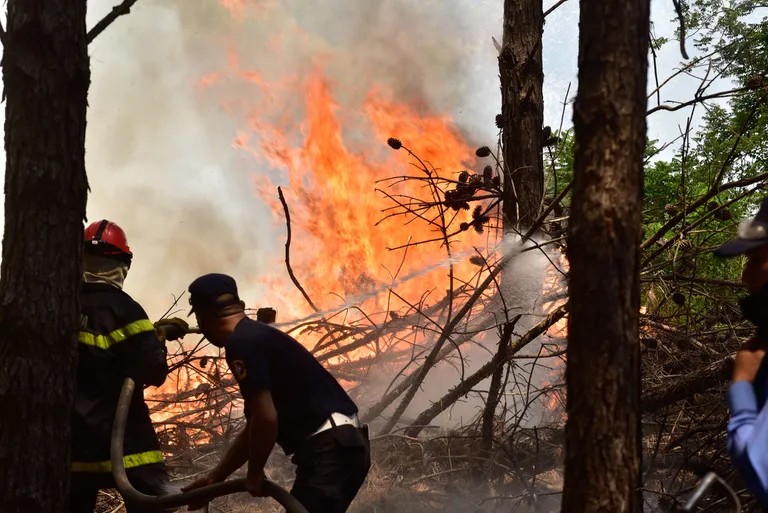 Los incendios en Corrientes generaron pérdidas por 26 mil millones de pesos.
