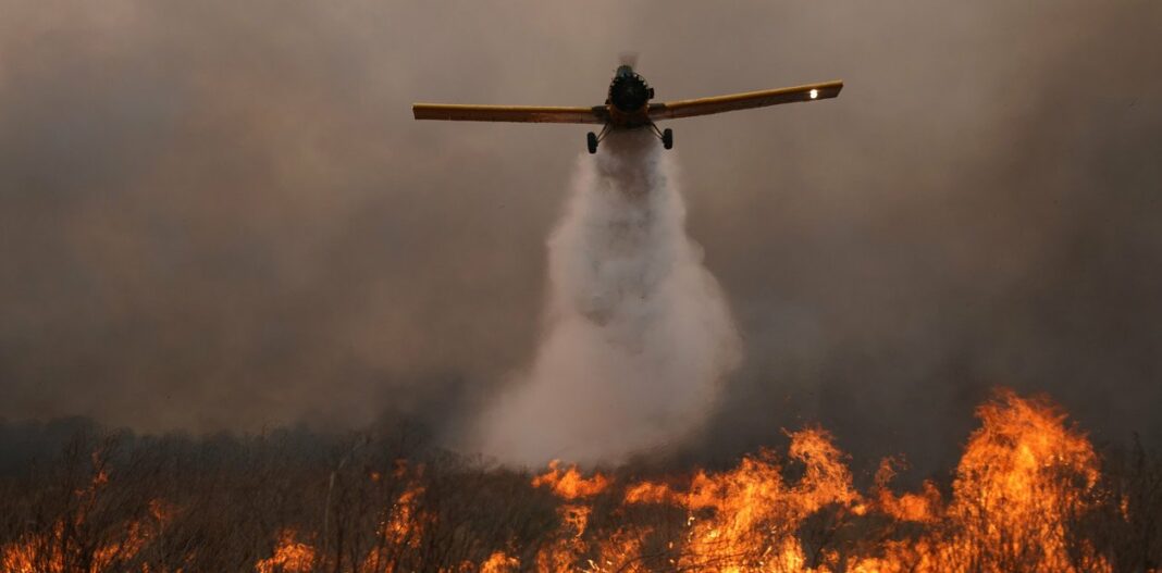 Los incendios en Corrientes quemaron más de 800 mil hectáreas.