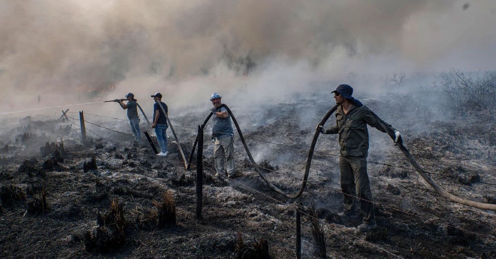 Diputados y senadores de Juntos reclamaron respuestas "urgentes" a los incendios en Corrientes.