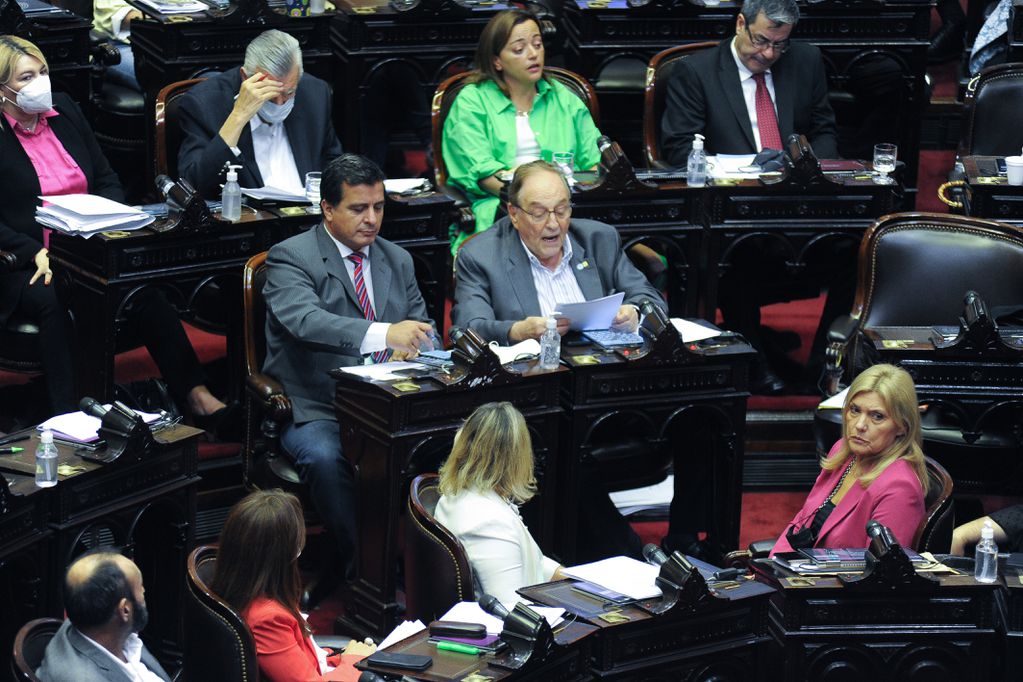 Máximo Kirchner estuvo ausente durante el debate del proyecto de acuerdo con el FMI. 