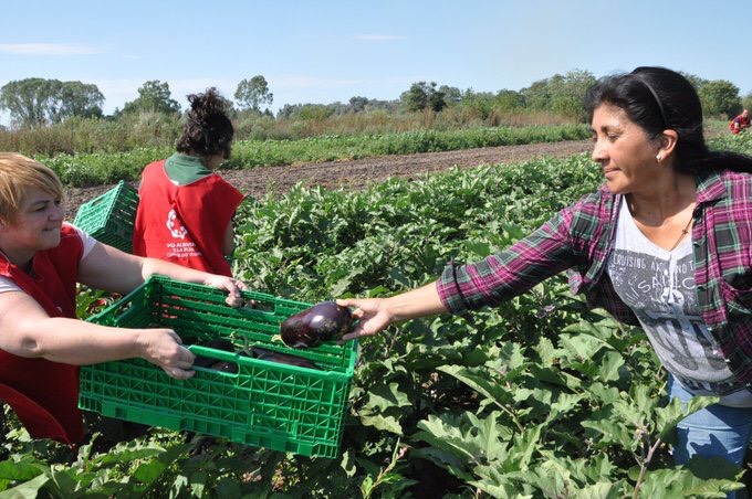 El programa 'Agricultura Familiar en Marcha' propone impulsar las economías que presenten iniciativas de fortalecimiento productivo.