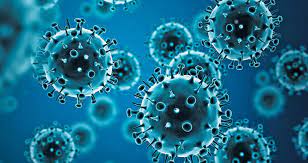 El virus H1N1 se diferencia del agente patógeno H3N2.