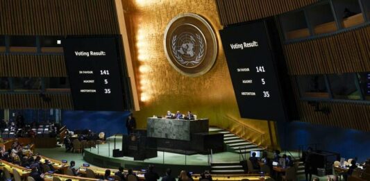 La resolución de la Asamblea General de la ONU contó con 141 países a favor, entre ellos la Argentina, 5 votos en contra y 35 abstenciones.