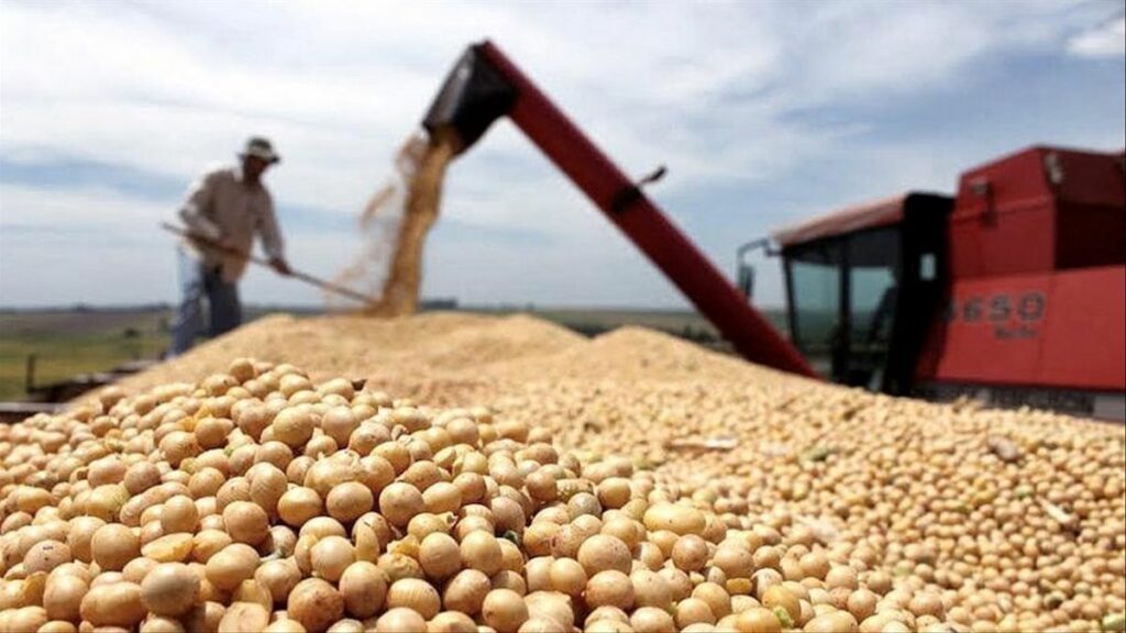 El Gobierno nacional anunció el domingo la suspensión del registro de exportaciones de harina y aceite de soja.