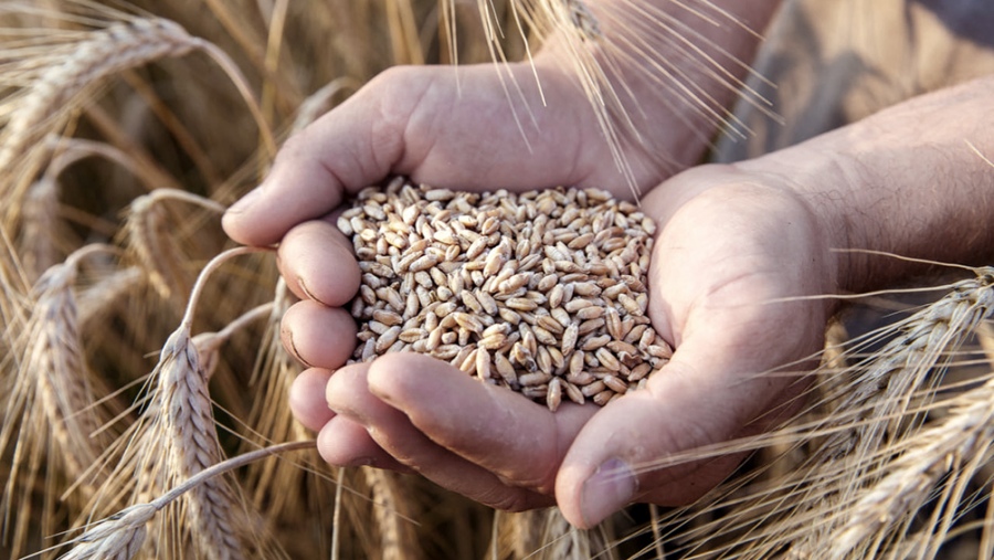 el índice de la ONU para la Alimentación y la Agricultura subió 3,9% en febrero respecto al mes anterior y se situó en 140,7 puntos.