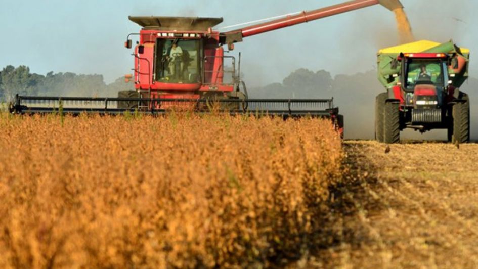 El ministro de Trabajo, Matías Kulfas, indicó que, a raíz de la suba de los precios internacionales de granos, evalúan si 