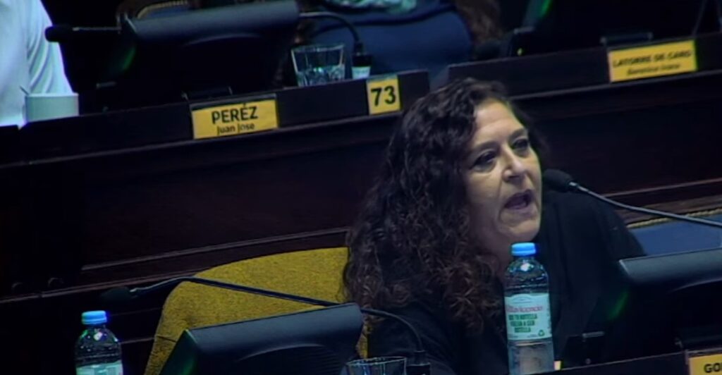 Consenso Fiscal. La diputada del Frente de Todos, Susana González, pidió terminar "con el show para los medios".  