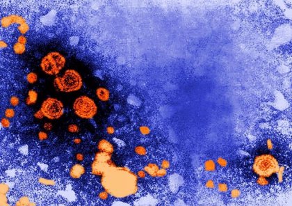 La hepatitis viral puede llegar a ser un virus mortal como la malaria y la tuberculosis.