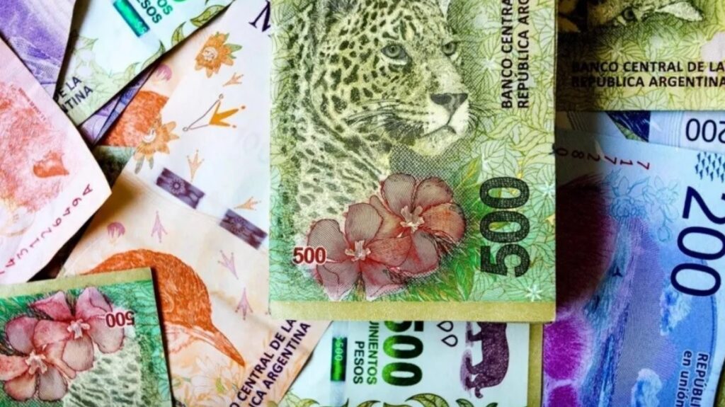 La serie de billetes de animales autóctonos que lanzó Mauricio Macri en 2016 será paulatinamente reemplazada.