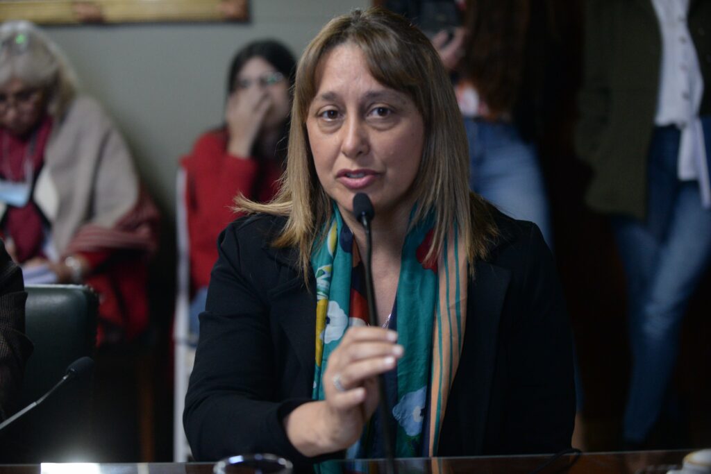La senadora Vanesa Spadone será la vicepresidenta de la comisión de Modernización del Senado bonaerense. 