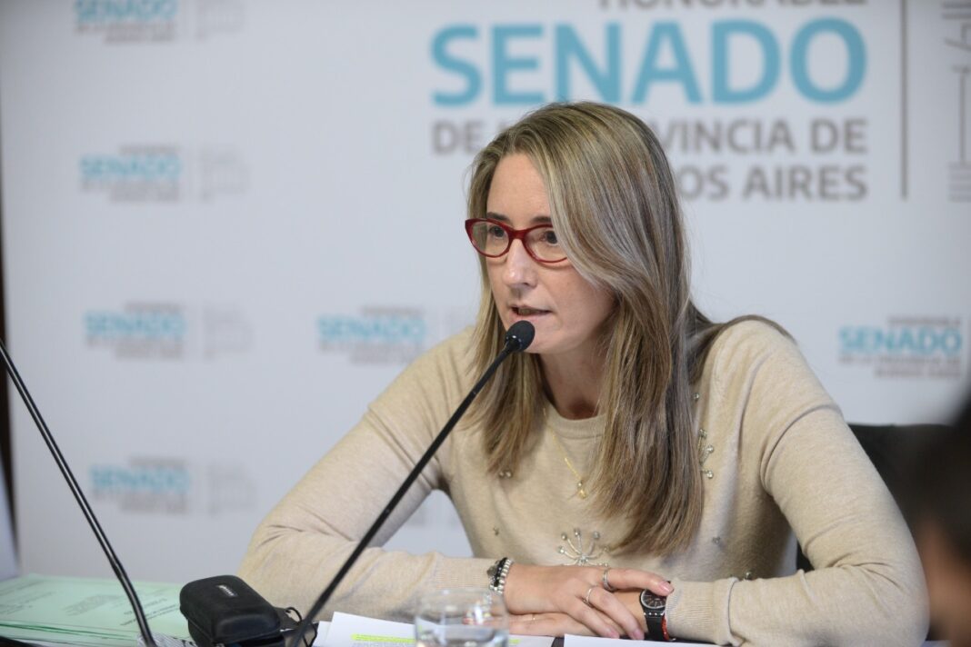La senadora radical Flavia Delmonte cuestionó la falta de gasoil que “afecta a la industria y al campo bonaerense”.