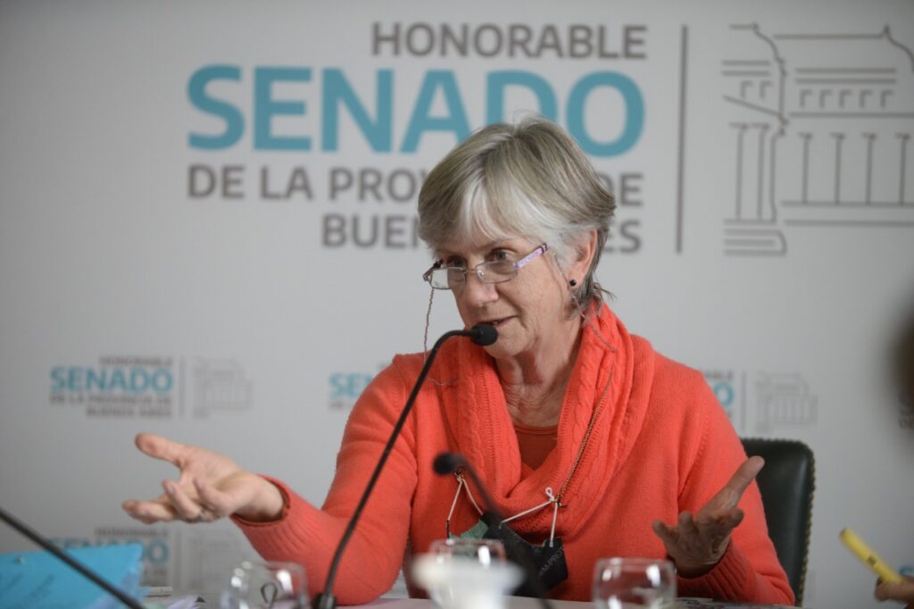 La senadora María Reigada preside la comisión de Educación del Senado bonaerense.