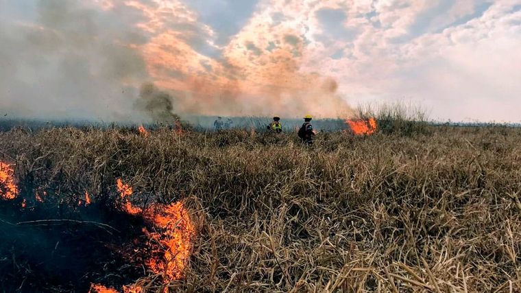 El ministro de Ambiente y Desarrollo Productivo, Juan Cabandié, criticó a la Justicia por los incendios en el Delta.