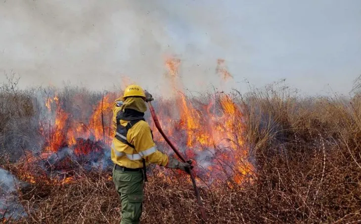 Los incendios en el Delta afectan principalmente a las provincias de Salta Fe y Buenos Aires.