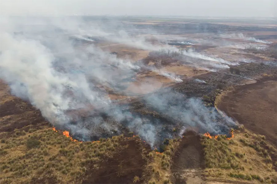 Los incendios en el Delta afectan a principalmente a las provincias de Santa Fe y de Buenos Aires.