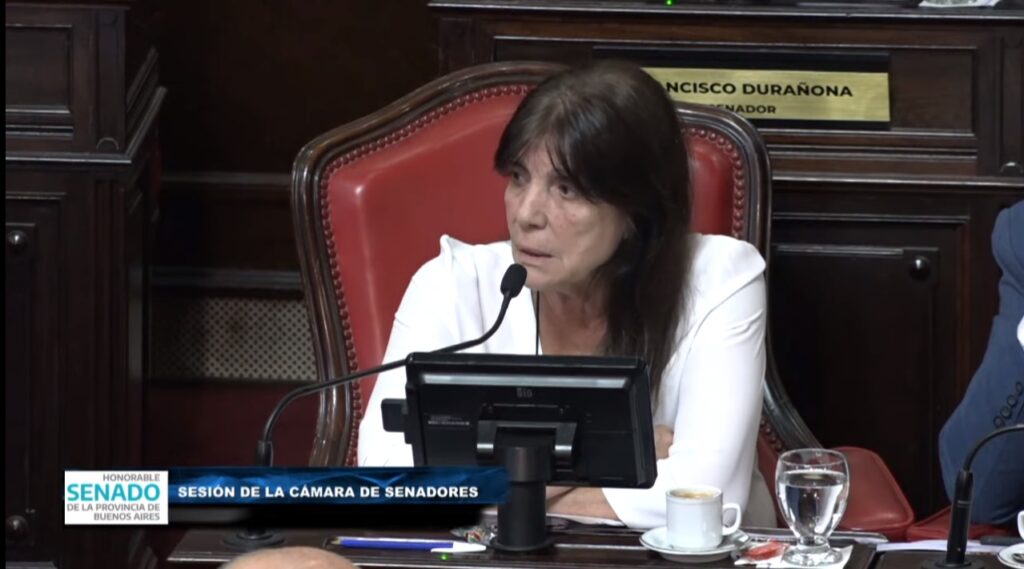 La senadora Teresa García durante el homenaje a Néstor Kirchner. 