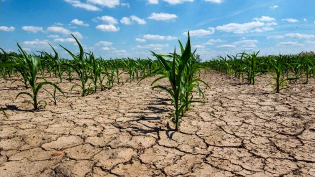 Según la Confederación de Asociaciones Rurales de Buenos Aires y La Pampa, hay en la provincia de Buenos Aires unas 6 millones de hectáreas afectadas por la sequía.