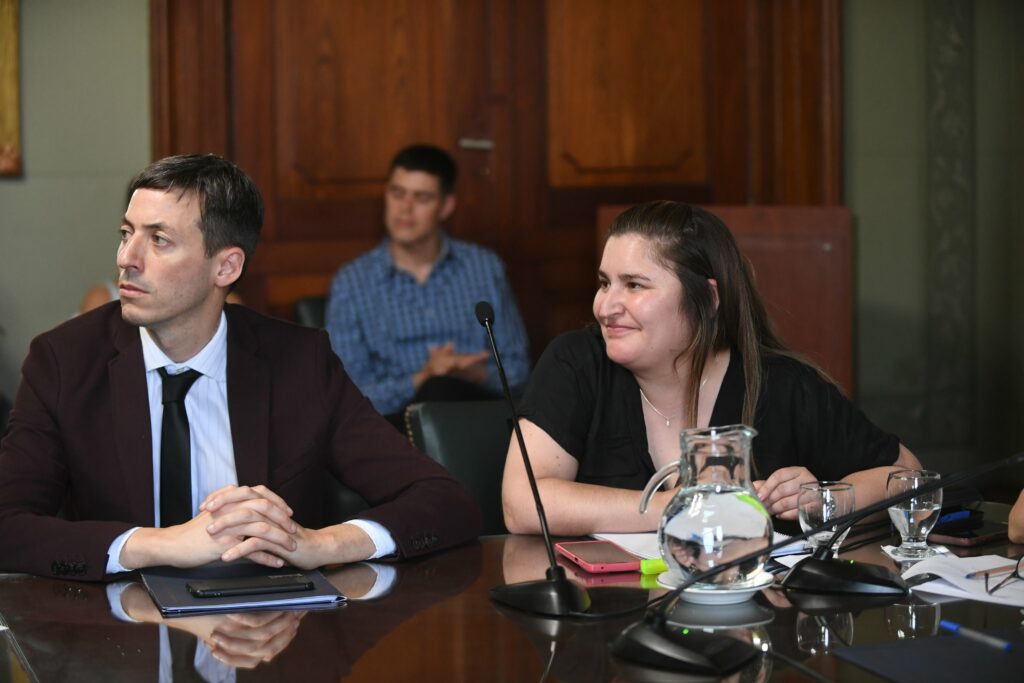 La senadora y vicepresidenta de la comisión de Comercio Interior, Pymes y Turismo, Ayelén Durán. 