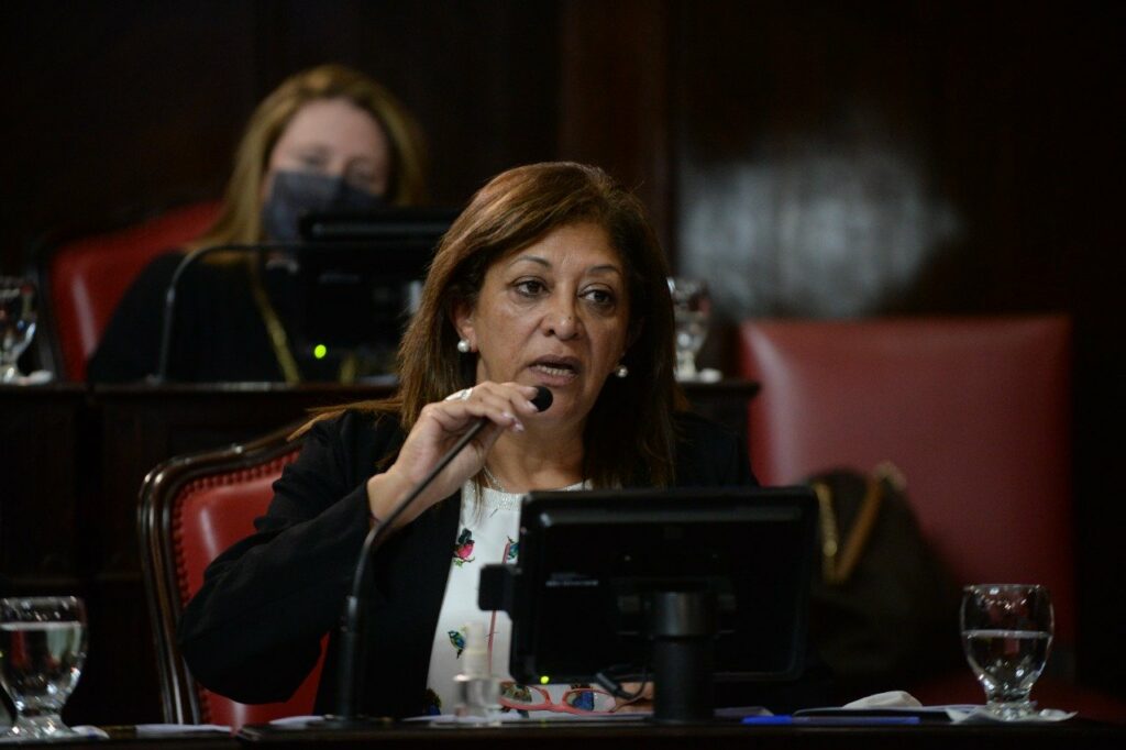 La senadora bonaerense del Frente de Todos, Ana Devalle, pidió que el 2023 sea de "unidad". 