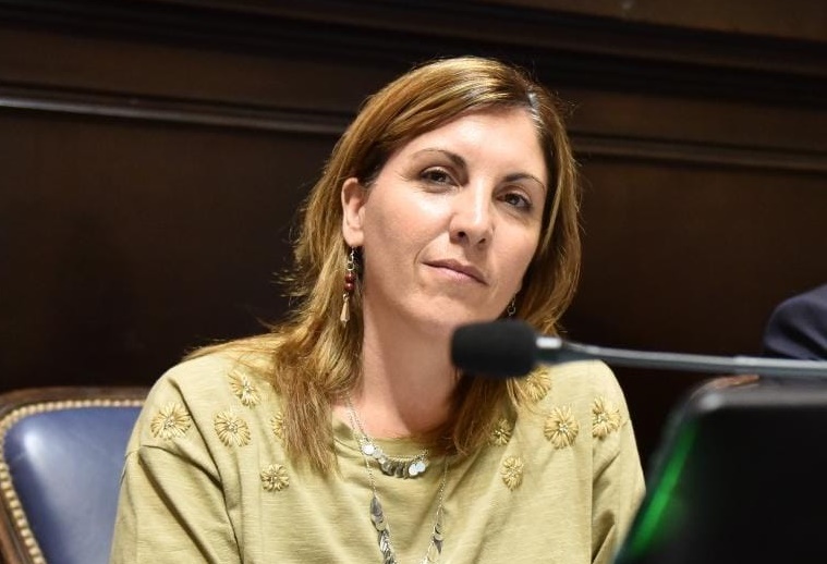 La diputada Constanza Moragues planteó que los dichos de Aníbal Fernández tuvieron la intención de “infundir temor público”.