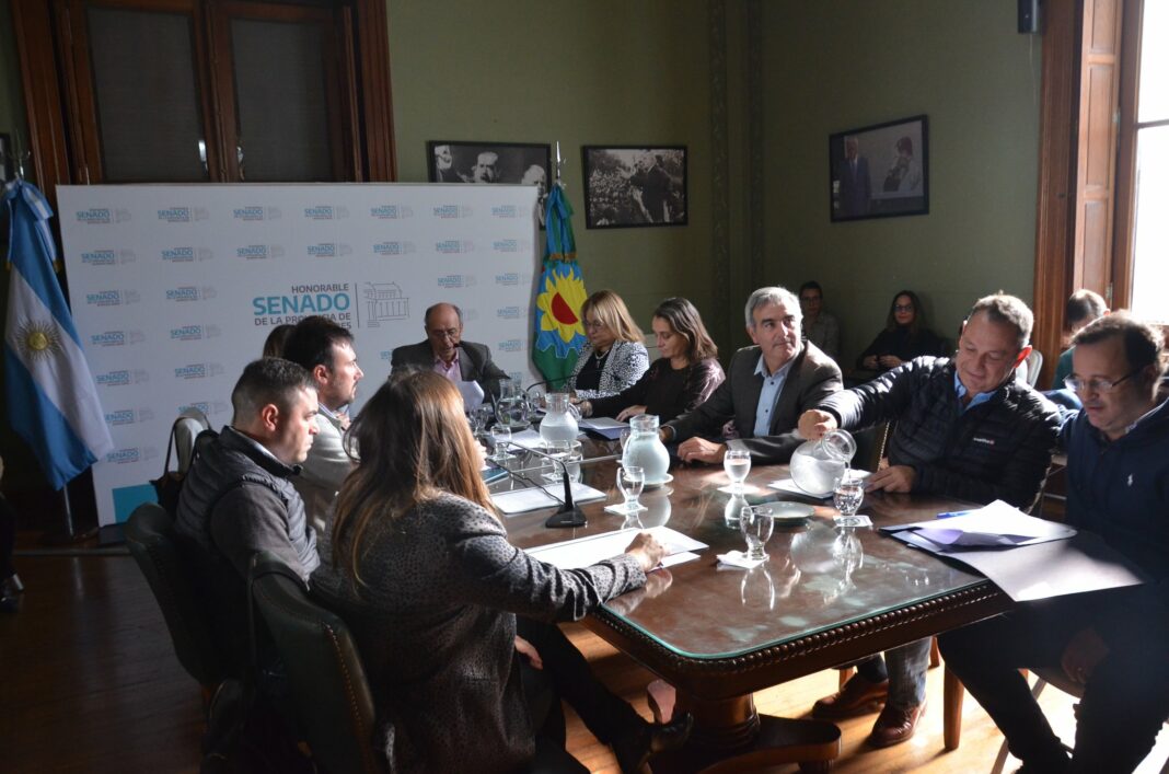 La comisión de Asuntos Municipales de la Cámara alta bonaerense avanzó en el tratamiento del proyecto del senador de Juntos, Marcelo Daletto.