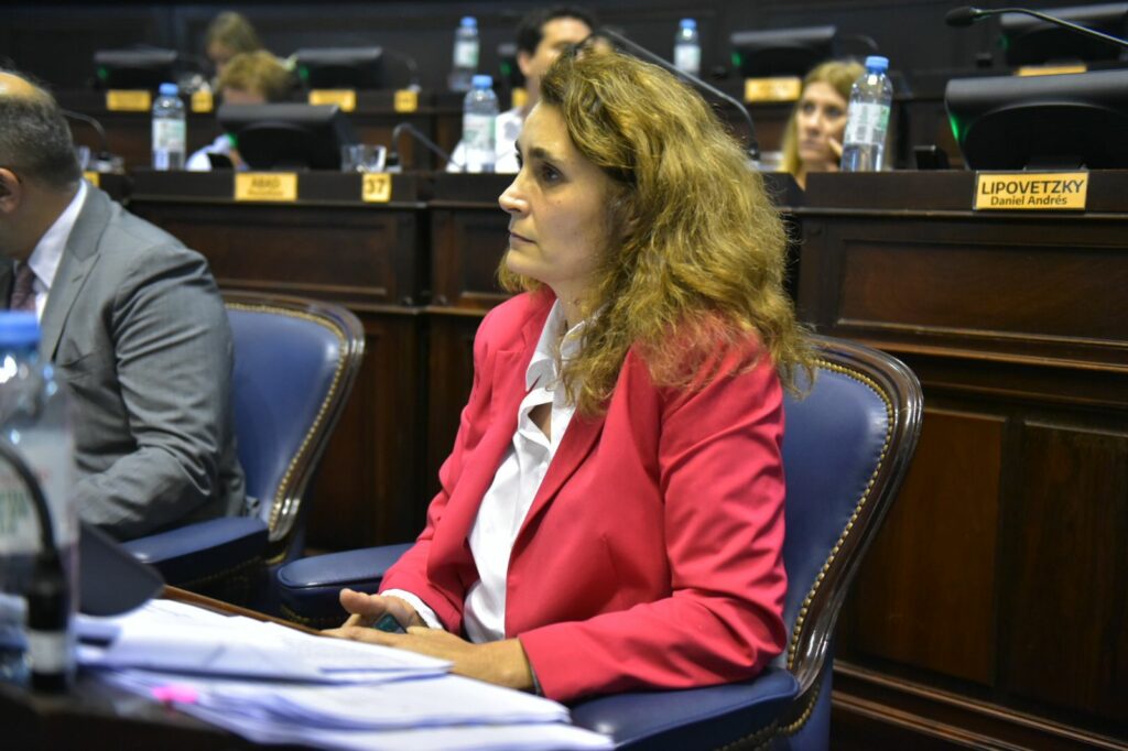 La diputada Viviana Dirolli, presentó un proyecto de ley para “regular y prevenir” la documentación de archivos de la provincia.