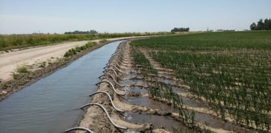 La CORFO Río Colorado multó por $18.009.468 a diez productores agropecuarios por extraer agua en exceso para regar sus cultivos.
