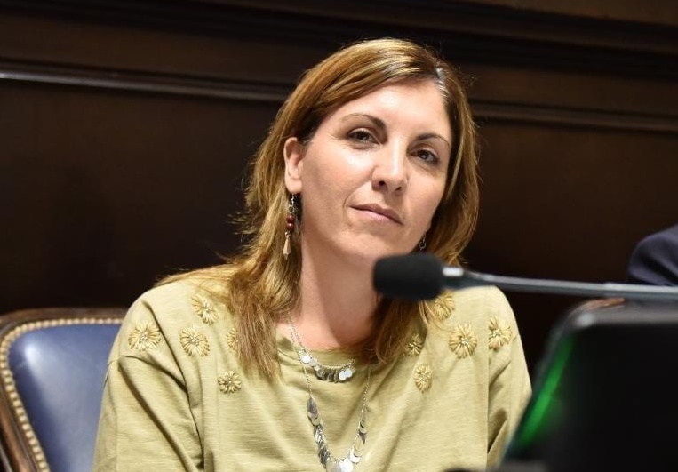 La diputada libertarai, Constanza Moragues, mostró su desacuerdo con el proyecto de ley de “renuncia de la paternidad”.