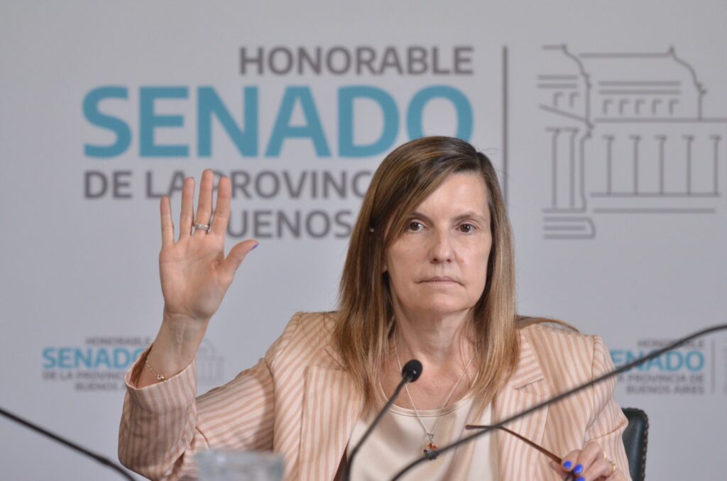 La comisión de Usuarios y Consumidores fue presidida por la senadora Gabriela Demaría.