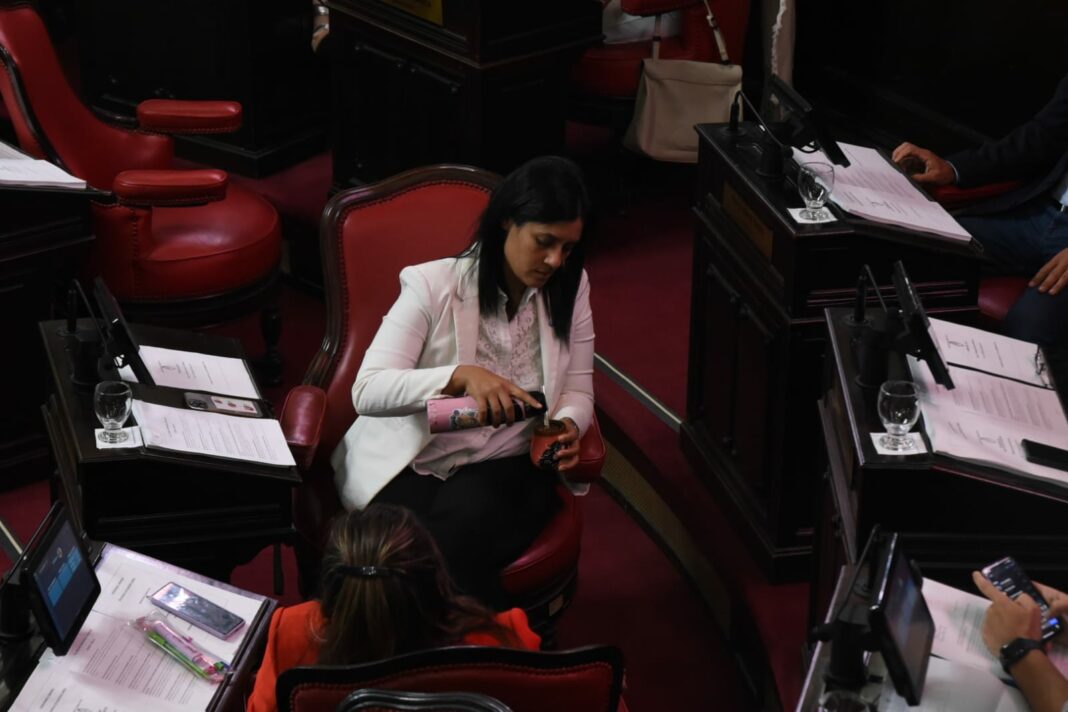 La senadora bonaerense Sofía Vanelli advirtió que con la quita de subsidios de Milei la boleta de gas llegaría hasta los $80.000.