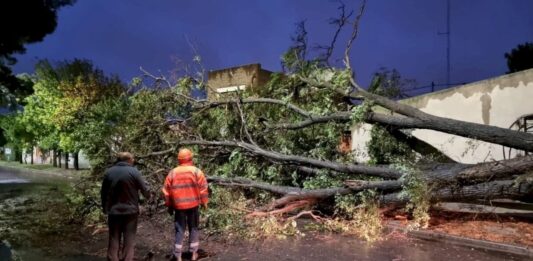 El municipio de Bahía Blanca atravesó un nuevo temporal que dejó techos volados, postes caídos y 150 llamados de emergencia.