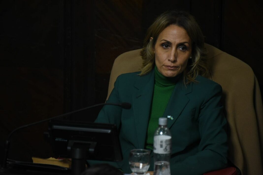 La senadora bonaerense de La Libertad Avanza, Florencia Arietto, criticó a los legisladores radicales y la cruzaron feo. “Deje de mentir y hacer show”, le pidieron.
