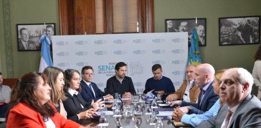 El ministro de Salud Nicolás Kreplak asistió al Senado bonaerense a respaldar los dos proyectos de creación de empresas estatales.